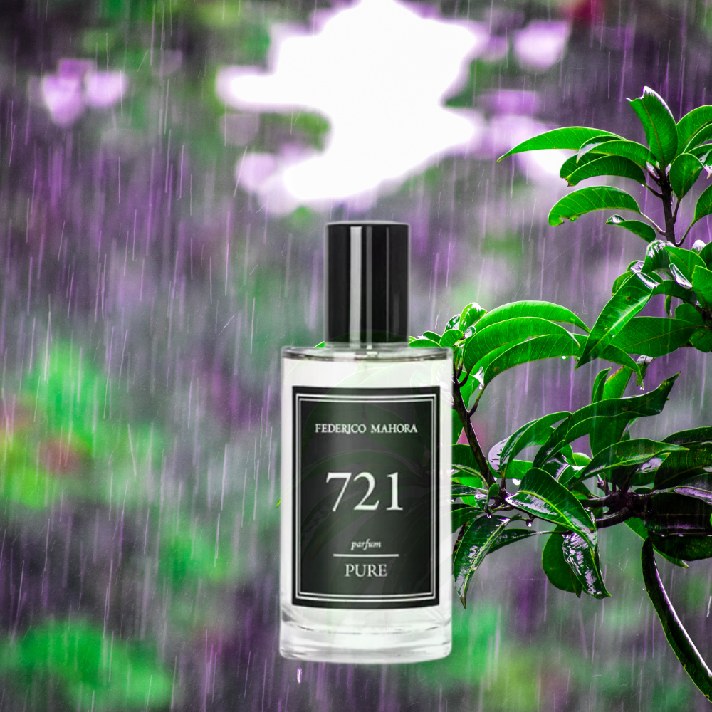 PURE 721 Натхненний Victor&Rolf - нічне бачення Spicebomb