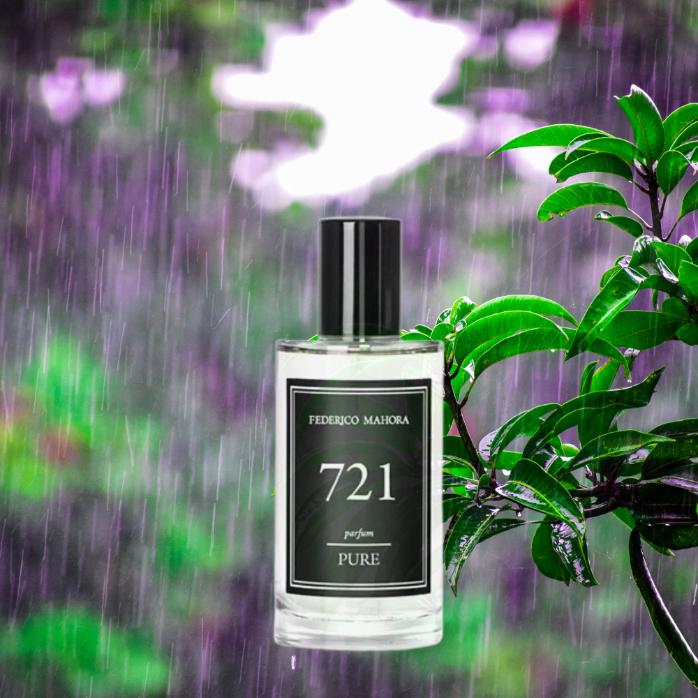 PURE  721 Inspired by Victor&Rolf - Spicebomb Night Vision